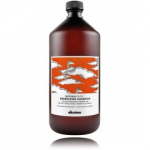 Davines Naturaltech Energizing Shampoo juuksekasvu soodustav &scaron;ampoon - 1000 ml.