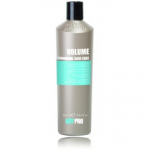 KayPro Hair Care Volume Volumizing Conditioner vol&uuml;&uuml;mi andev palsam &otilde;hukestele juustele - 350 ml.