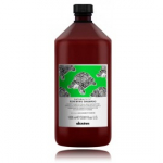 Davines NaturalTech Renewing Shampoo taastav juukse&scaron;ampoon - 1000 ml.