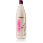 Salerm Hi Repair Shampoo 01 &scaron;ampoon kuivadele / kahjustatud juustele - 1000 ml.
