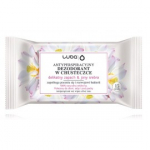 Luba Antiperspirant Wipes With Silver Ions niisked puhastussalvr&auml;tikud - 15 tk.
