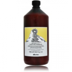 Davines Naturaltech Purifying Shampoo k&otilde;&otilde;mavastane &scaron;ampoon - 1000 ml.