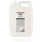 Stapiz Basic Salon Coconut Balm juuksepalsam - 5000 ml.