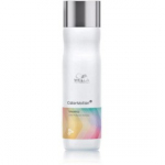 Wella Professionals Color Motion &scaron;ampoon v&auml;rvitud juustele - 250 ml.