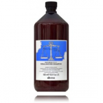 Davines NaturalTech Rebalancing &scaron;ampoon rasusele peanahale - 1000 ml.