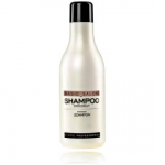 Stapiz Professional Basic Salon Coconut Shampoo &scaron;ampoon igale juukset&uuml;&uuml;bile - 1000 ml.