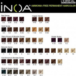 L'oreal Professionnel iNOA professionaalne juuksev&auml;rv - 4,8 - Mocha Brown