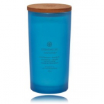 Chesapeake Bay Mind & Body Confidence + Freedom Oak Moss Amber l&otilde;hnak&uuml;&uuml;nal - 355 g.