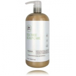 Paul Mitchell Tea Tree Scalp Care Regeniplex Conditioner palsam h&otilde;renevatele juustele - 1000 ml.