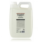 Stapiz Professional Basic Salon Coconut Shampoo &scaron;ampoon igale juukset&uuml;&uuml;bile - 5000 ml.