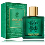 Roberto Cavalli Uomo Verde Assoluto EDP meestele - 100 ml.