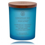 Chesapeake Bay Mind & Body Confidence + Freedom Oak Moss Amber l&otilde;hnak&uuml;&uuml;nal - 96 g.