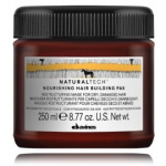 Davines NaturalTech Nourishing Hair Building Pak taastav mask kuivadele / kahjustatud juustele keratiiniga - 250 ml.