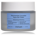 Meisani Niacinamide Cucumber Aqua Gel Cream v&auml;rskendav geeljas n&auml;okreem - 50 ml.