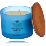 Chesapeake Bay Mind & Body Confidence + Freedom Oak Moss Amber l&otilde;hnak&uuml;&uuml;nal - 312 g.