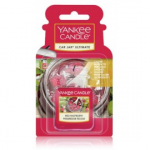 Yankee Candle Red Raspberry autol&otilde;hn - 30 g.