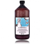 Davines NaturalTech Well-Being Shampoo niisutav juukse&scaron;ampoon - 1000 ml.
