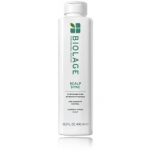 Matrix Biolage Scalp Sync Anti Dandruff k&otilde;&otilde;mavastane &scaron;ampoon 250 ml - 400 ml.