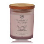 Chesapeake Bay Mind & Body Joy + Laughter Cranberry Dahlia l&otilde;hnak&uuml;&uuml;nal - 96 g.