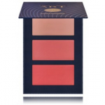 Pierre Rene Cream Contouring kreemjas kontuurimise palett - 01