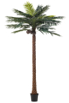 Kunstpuu PALM TREE 4 kookosp&auml;hklit H350cm, roheline