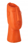 Vaas FACE v&auml;litingimustele, oranž