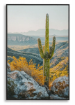 Maal CACTUS 60x90x4cm, mitmev&auml;rviline