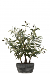Kunstpuu OLIVE TREE H60cm, roheline
