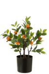 Kunstpuu ORANGE TREE H60cm, roheline
