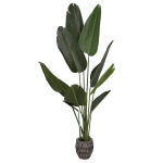 Kunstlill STRELITSIA 160 cm