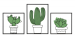 Seinapaneel CACTUS 3-osaline komplekt