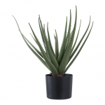 Kunsttaim ALOE VERA H51cm, roheline
