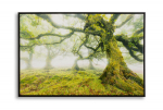 L&otilde;uendtr&uuml;kk FOREST raamiga 90x4x60 cm