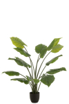 Kunsttaim TARO SAUVAGE H123cm, roheline