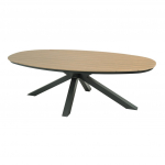 Aialaud AREZZO 240 x 113 cm, teak