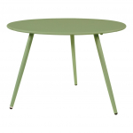 Abilaud RAFAEL &Oslash;60x41cm, roheline