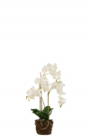 Kunsttaim ORCHID 75cm, roheline/valge