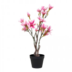 Kunsttaim MAGNOLIA H75 cm, roheline/roosa