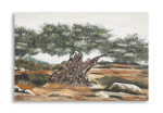 Maal OLIVE 120x80x3,8cm, mitmev&auml;rviline
