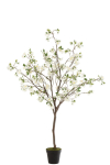 Kunstpuu BLOSSOM H190cm, valge/pruun