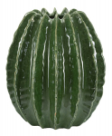 Vaas CACTUS BALL &Oslash; 28 x 31 cm, roheline