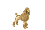 Dekoratsioon POODLE suur, kuld