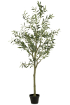 Kunstpuu OLIVE TREE H180cm, roheline