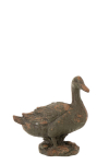 Dekoratsioon DUCK SIT ANTIQUE istuvale asendile, roheline