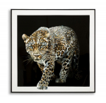 Maal JAGUAR 82x82x4cm, mitmev&auml;rviline