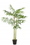 Kunsttaim BAMBOO PALM 170cm, roheline