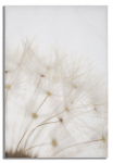 Maal TIN 80x120x3cm, mitmev&auml;rviline