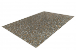 Vaip WILD AE 8022 140x200cm, tuhkjaspruun