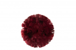 Dekoratsioon DISC DECO FEATHERS, bordeaux