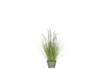 Kunsttaim GRASSES H55cm, roheline